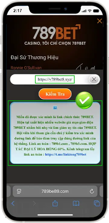 Nhập tên miền cần kiểm tra và xem thông báo tại màn hình chính